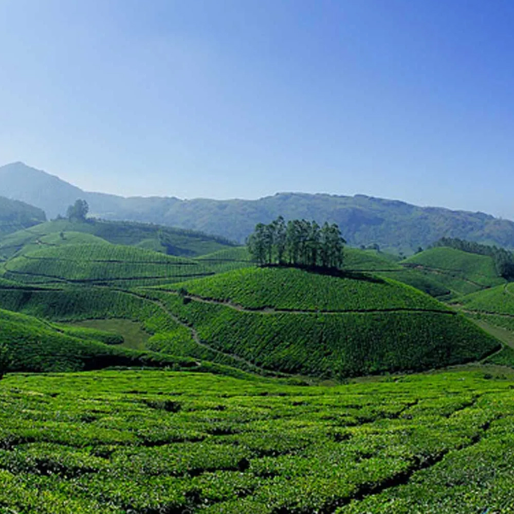 Hill Station