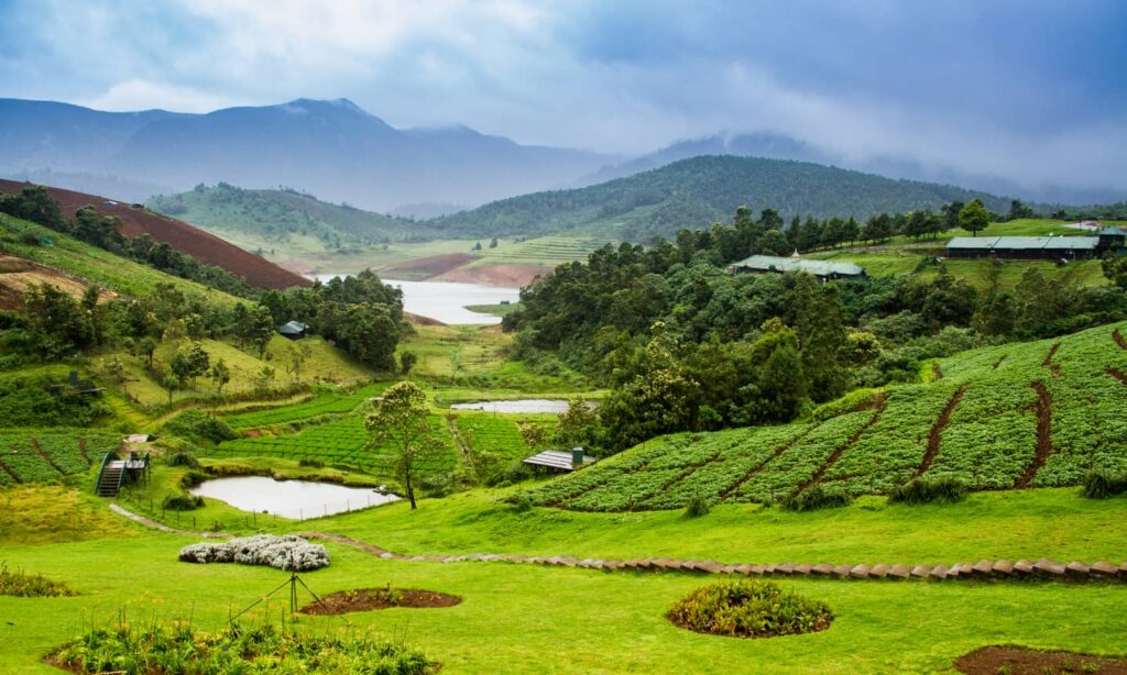 Best Travel Planner Agency in India